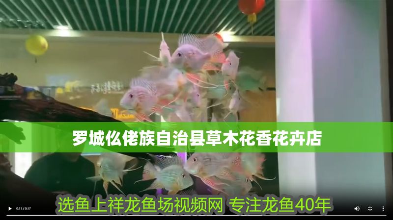 羅城仫佬族自治縣草木花香花卉店