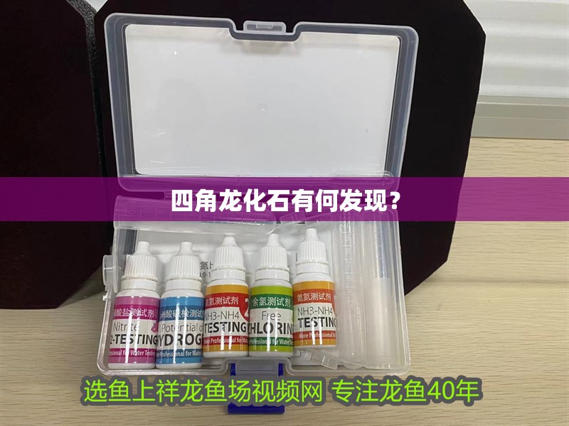 四角龍化石有何發現？ 四角龍化石有何發現？ 龍魚百科