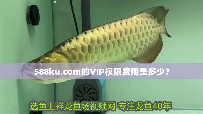 588ku.com的VIP權限費用是多少？