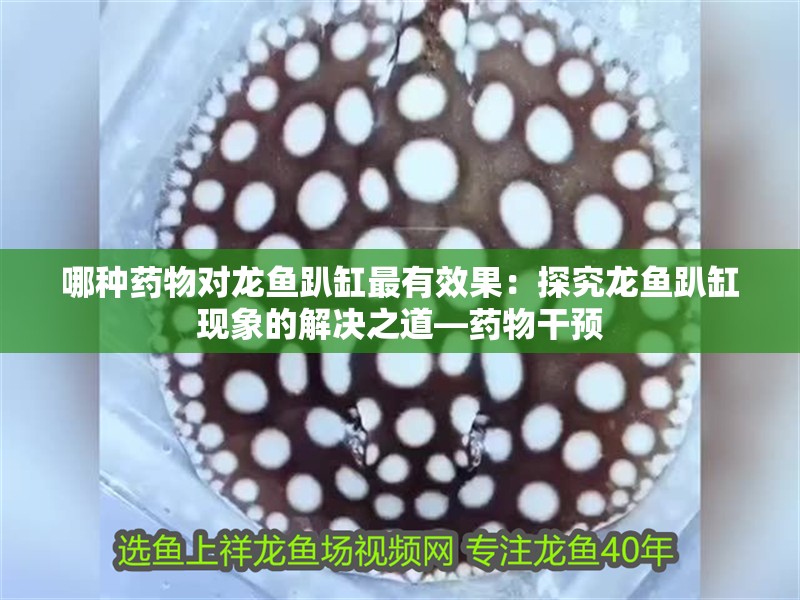 哪種藥物對龍魚趴缸最有效果：探究龍魚趴缸現(xiàn)象的解決之道—藥物干預(yù)