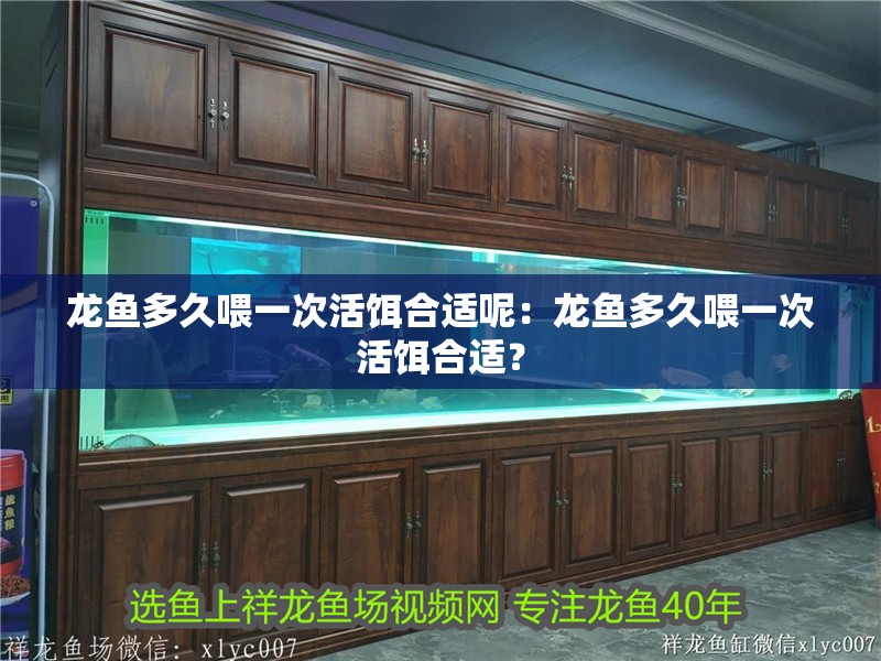 龍魚多久喂一次活餌合適呢：龍魚多久喂一次活餌合適？