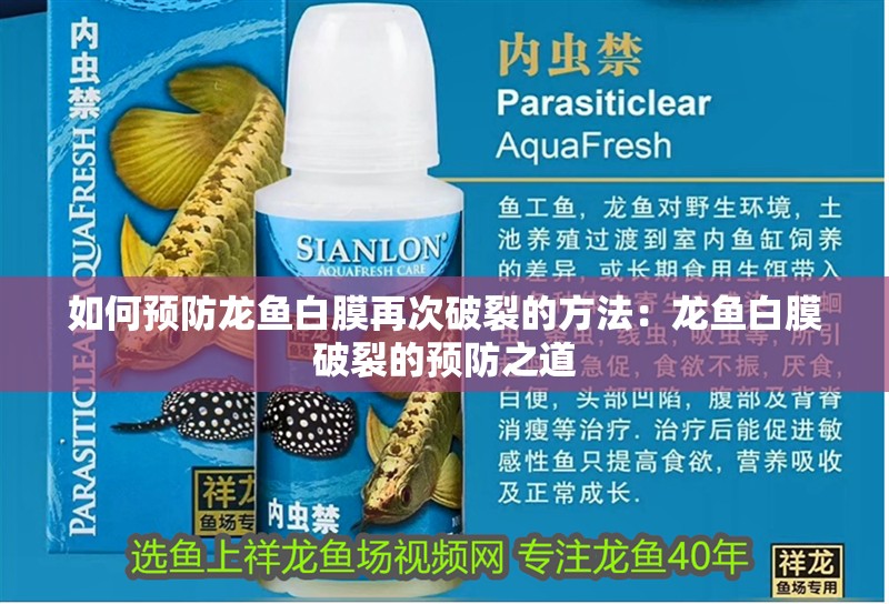 如何預(yù)防龍魚白膜再次破裂的方法：龍魚白膜破裂的預(yù)防之道