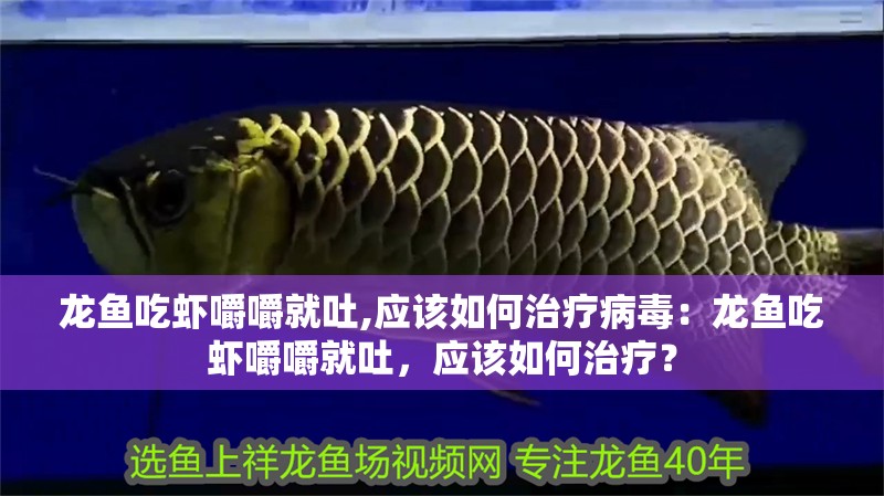 龍魚吃蝦嚼嚼就吐,應該如何治療病毒：龍魚吃蝦嚼嚼就吐，應該如何治療？
