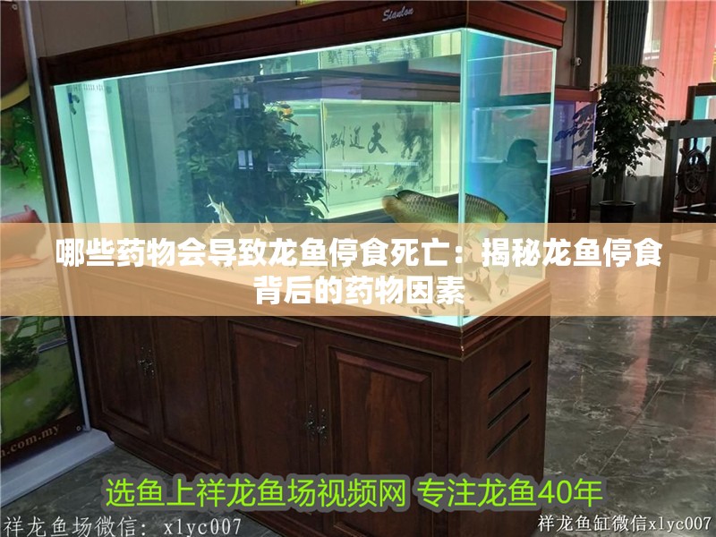 哪些藥物會(huì)導(dǎo)致龍魚(yú)停食死亡：揭秘龍魚(yú)停食背后的藥物因素