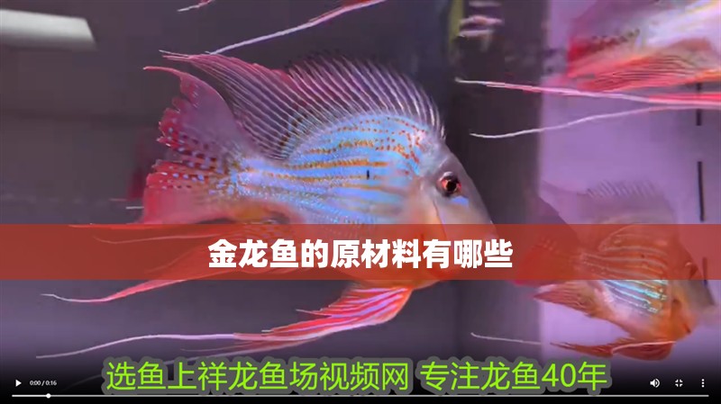 金龍魚的原材料有哪些
