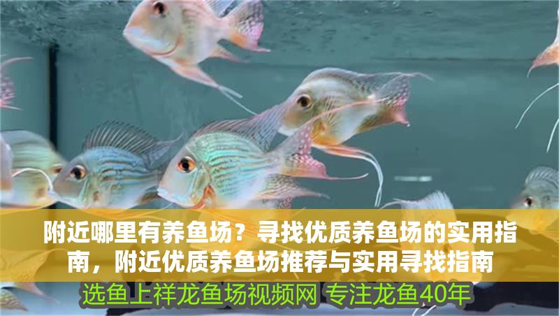 附近哪里有養魚場？尋找優質養魚場的實用指南，附近優質養魚場推薦與實用尋找指南 附近哪里有養魚場？尋找優質養魚場的實用指南，附近優質養魚場推薦與實用尋找指南 龍魚百科 第1張