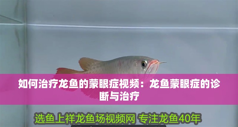 如何治療龍魚的蒙眼癥視頻：龍魚蒙眼癥的診斷與治療