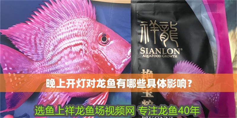 晚上開燈對龍魚有哪些具體影響？ 晚上開燈對龍魚有哪些具體影響？ 龍魚百科
