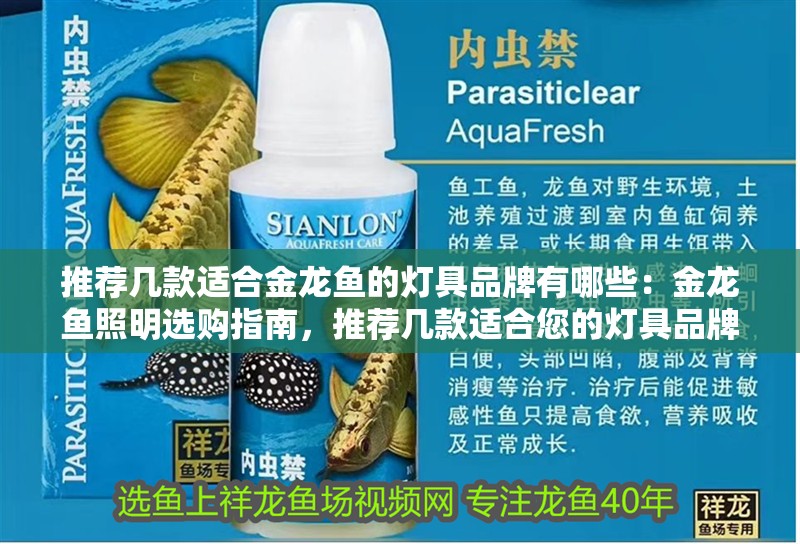 推薦幾款適合金龍魚的燈具品牌有哪些：金龍魚照明選購(gòu)指南，推薦幾款適合您的燈具品牌 推薦幾款適合金龍魚的燈具品牌有哪些：金龍魚照明選購(gòu)指南，推薦幾款適合您的燈具品牌 水族問答