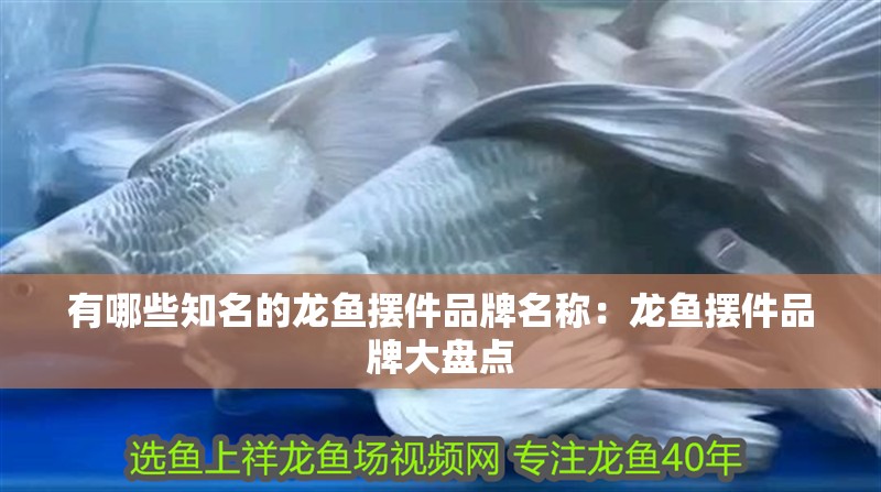 有哪些知名的龍魚擺件品牌名稱：龍魚擺件品牌大盤點(diǎn)
