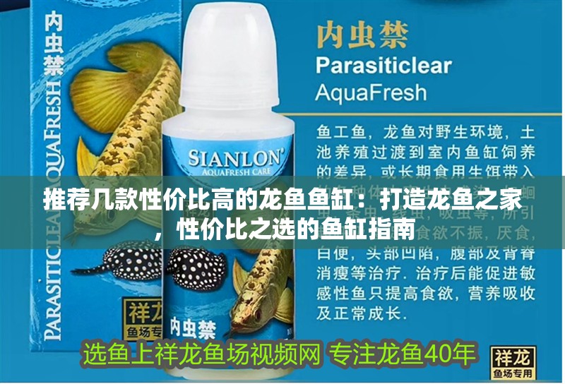 推薦幾款性價比高的龍魚魚缸：打造龍魚之家，性價比之選的魚缸指南