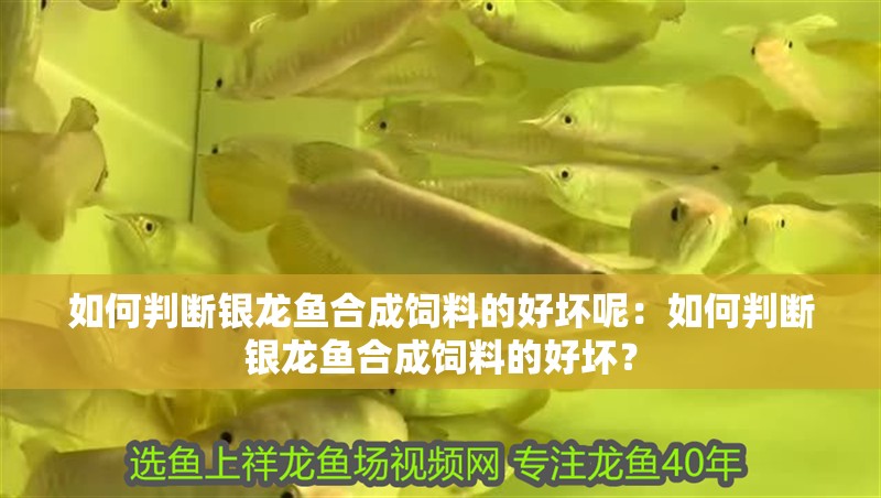 如何判斷銀龍魚合成飼料的好壞呢：如何判斷銀龍魚合成飼料的好壞？