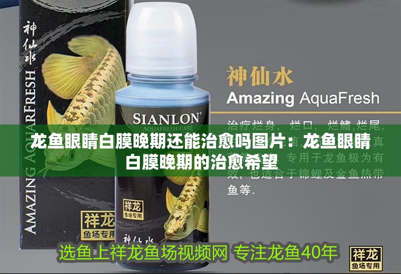 龍魚眼睛白膜晚期還能治愈嗎圖片：龍魚眼睛白膜晚期的治愈希望