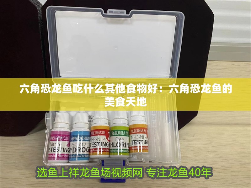 六角恐龍魚吃什么其他食物好：六角恐龍魚的美食天地