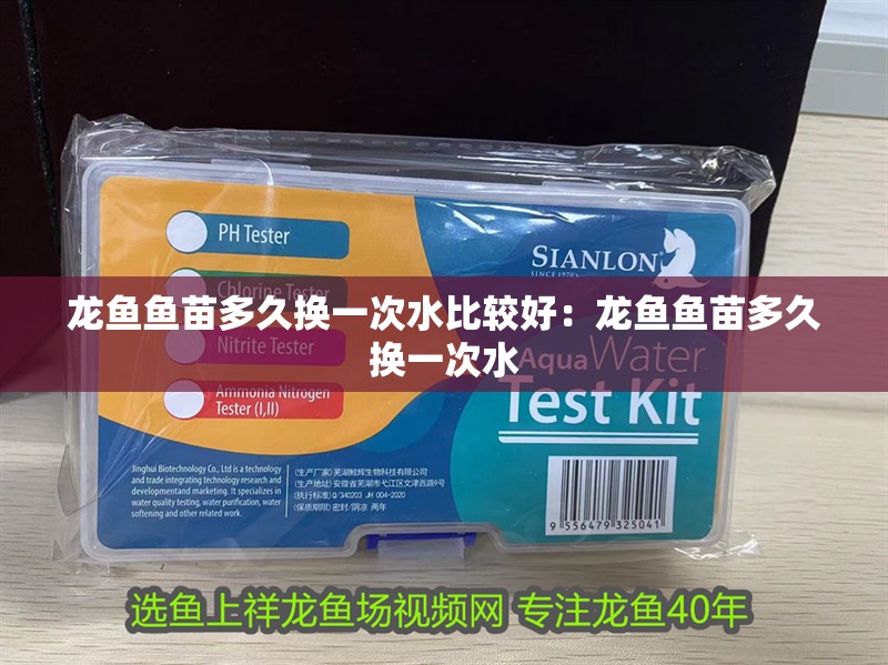 龍魚魚苗多久換一次水比較好：龍魚魚苗多久換一次水
