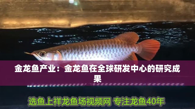 金龍魚產(chǎn)業(yè)：金龍魚在全球研發(fā)中心的研究成果