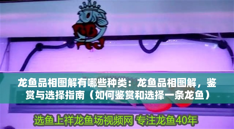 龍魚品相圖解有哪些種類：龍魚品相圖解，鑒賞與選擇指南（如何鑒賞和選擇一條龍魚）