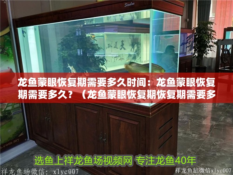 龍魚蒙眼恢復(fù)期需要多久時(shí)間：龍魚蒙眼恢復(fù)期需要多久？（龍魚蒙眼恢復(fù)期恢復(fù)期需要多久）