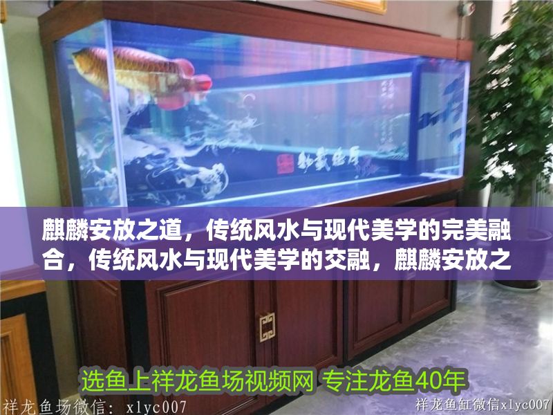 麒麟安放之道，傳統風水與現代美學的完美融合，傳統風水與現代美學的交融，麒麟安放之道