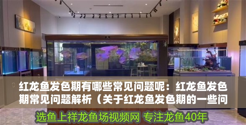 紅龍魚發色期有哪些常見問題呢：紅龍魚發色期常見問題解析（關于紅龍魚發色期的一些問題）