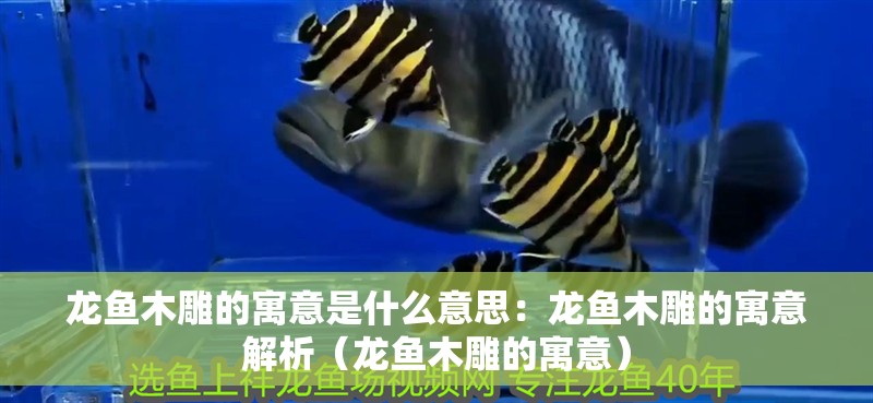 龍魚木雕的寓意是什么意思：龍魚木雕的寓意解析（龍魚木雕的寓意）