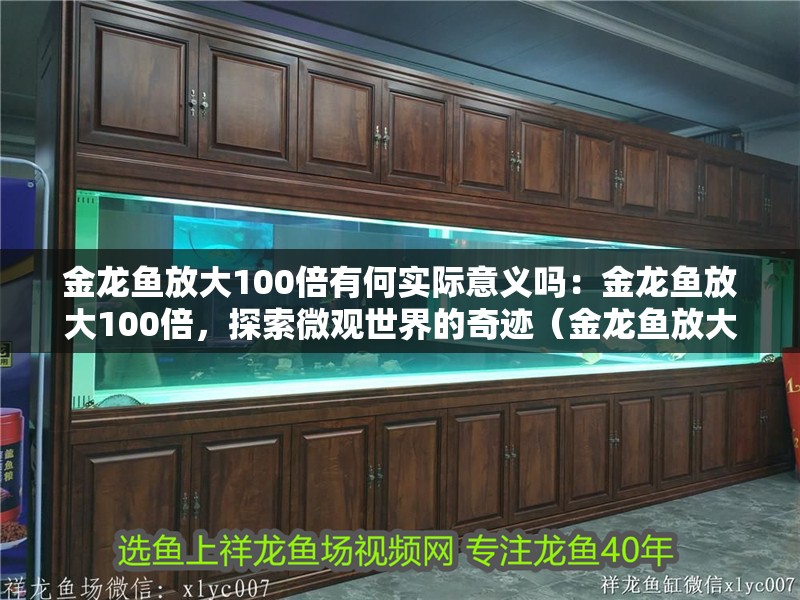 金龍魚放大100倍有何實(shí)際意義嗎：金龍魚放大100倍，探索微觀世界的奇跡（金龍魚放大100倍后）