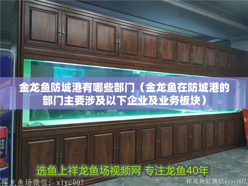 金龍魚<strong><mark>防城港</mark></strong>有哪些部門（金龍魚在<strong><mark>防城港</mark></strong>的部門主要涉及以下企業及業務板塊）