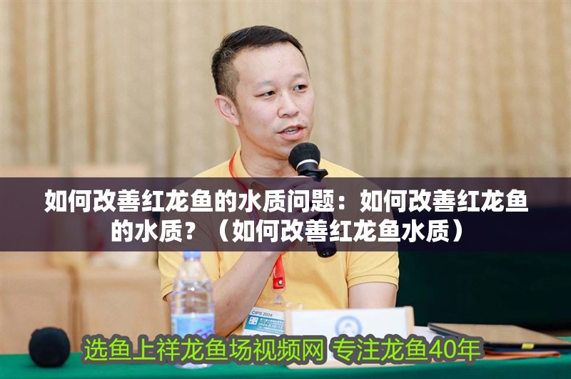 如何改善紅龍魚的水質問題：如何改善紅龍魚的水質？（如何改善紅龍魚水質）