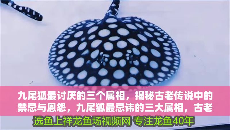 九尾狐最討厭的三個屬相，揭秘古老傳說中的禁忌與恩怨，九尾狐最忌諱的三大屬相，古老傳說揭示的恩怨禁忌