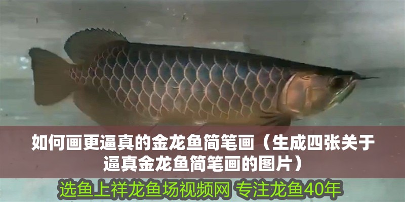 如何畫更逼真的金龍魚簡筆畫（生成四張關于逼真金龍魚簡筆畫的圖片）