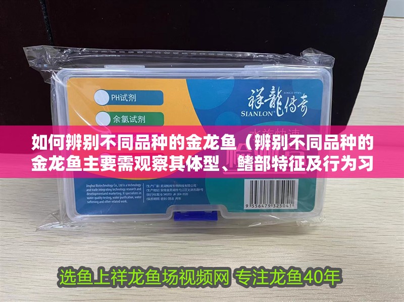 如何辨別不同品種的金龍魚（辨別不同品種的金龍魚主要需觀察其體型、鰭部特征及行為習性） 如何辨別不同品種的金龍魚（辨別不同品種的金龍魚主要需觀察其體型、鰭部特征及行為習性） 龍魚百科