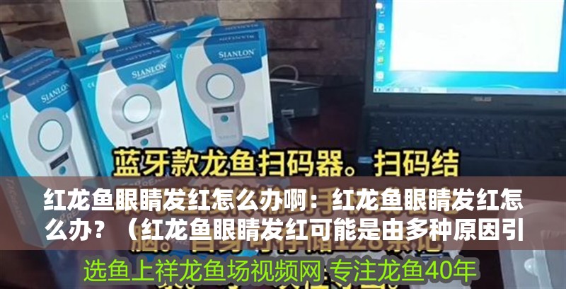 紅龍魚眼睛發(fā)紅怎么辦啊：紅龍魚眼睛發(fā)紅怎么辦？（紅龍魚眼睛發(fā)紅可能是由多種原因引起的）