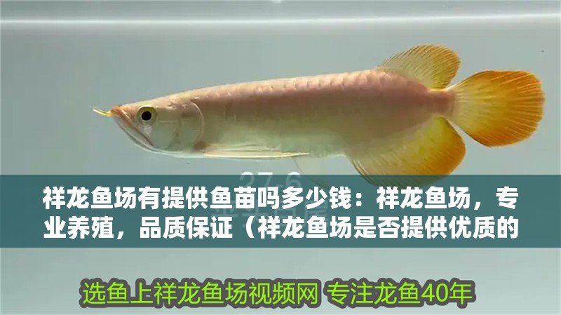 祥龍魚場有提供魚苗嗎多少錢：祥龍魚場，專業養殖，品質保證（祥龍魚場是否提供優質的魚苗）