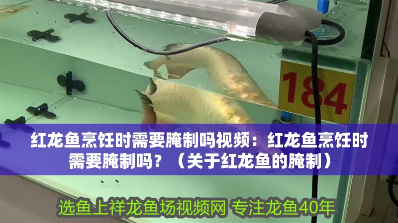 紅龍魚烹飪時需要腌制嗎視頻：紅龍魚烹飪時需要腌制嗎？（關(guān)于紅龍魚的腌制）