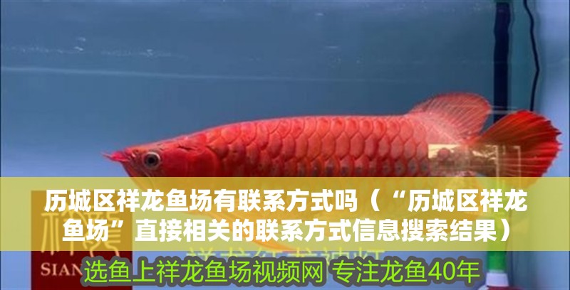 歷城區(qū)祥龍魚場(chǎng)有聯(lián)系方式嗎（“歷城區(qū)祥龍魚場(chǎng)”直接相關(guān)的聯(lián)系方式信息搜索結(jié)果） 歷城區(qū)祥龍魚場(chǎng)有聯(lián)系方式嗎（“歷城區(qū)祥龍魚場(chǎng)”直接相關(guān)的聯(lián)系方式信息搜索結(jié)果） 龍魚百科