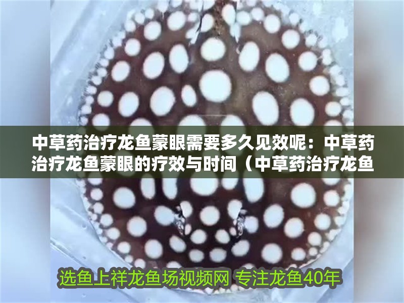 中草藥治療龍魚蒙眼需要多久見效呢：中草藥治療龍魚蒙眼的療效與時間（中草藥治療龍魚蒙眼的注意事項）