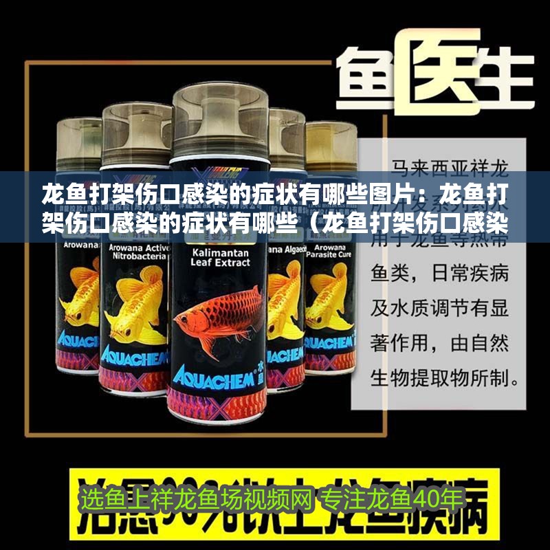 龍魚(yú)打架傷口感染的癥狀有哪些圖片：龍魚(yú)打架傷口感染的癥狀有哪些（龍魚(yú)打架傷口感染可能會(huì)導(dǎo)致龍魚(yú)打架傷口感染的癥狀）