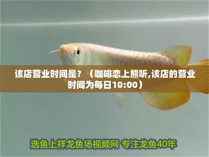 該店?duì)I業(yè)時(shí)間是？（咖啡戀上熊聽,該店的營業(yè)時(shí)間為每日10:00）