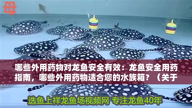 哪些外用藥物對龍魚安全有效：龍魚安全用藥指南，哪些外用藥物適合您的水族箱？（關于龍魚的外用藥物使用的注意事項）