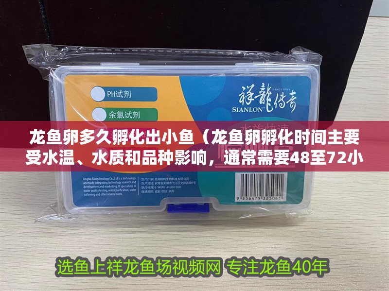 龍魚卵多久孵化出小魚（龍魚卵孵化時間主要受水溫、水質和品種影響，通常需要48至72小時）