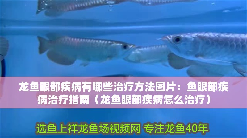 龍魚(yú)眼部疾病有哪些治療方法圖片：魚(yú)眼部疾病治療指南（龍魚(yú)眼部疾病怎么治療）