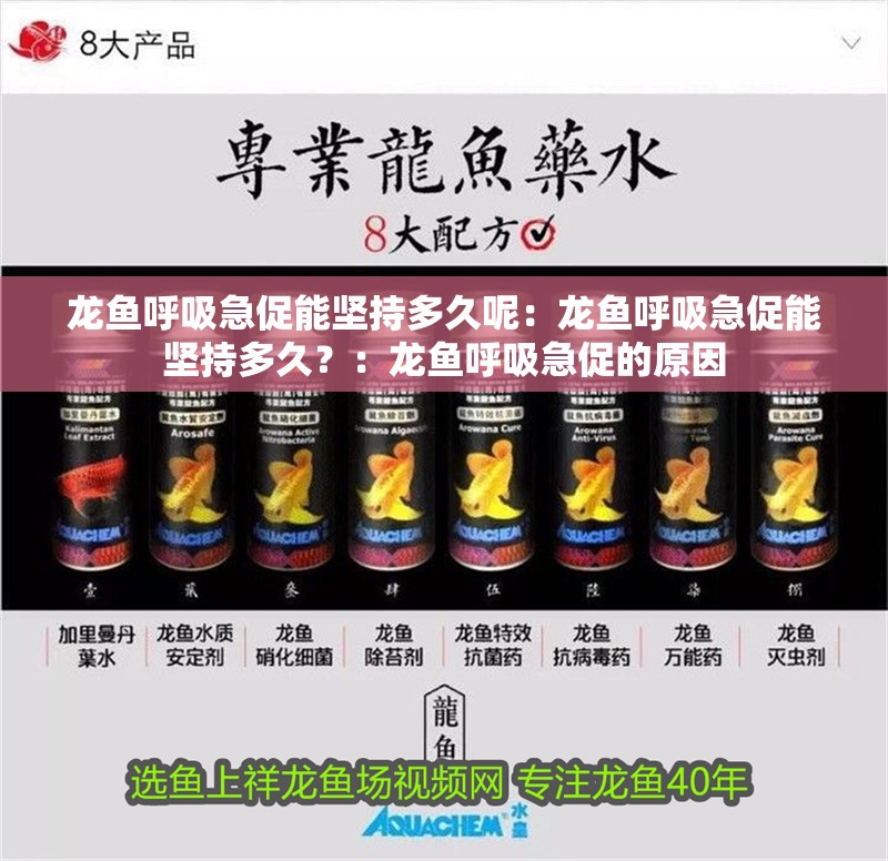 龍魚呼吸急促能堅持多久呢：龍魚呼吸急促能堅持多久？：龍魚呼吸急促的原因