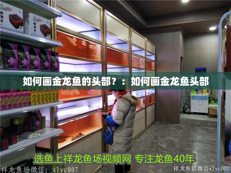 如何畫(huà)金龍魚(yú)的頭部？：如何畫(huà)金龍魚(yú)頭部