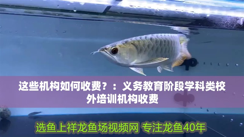 這些機構如何收費？：義務教育階段學科類校外培訓機構收費