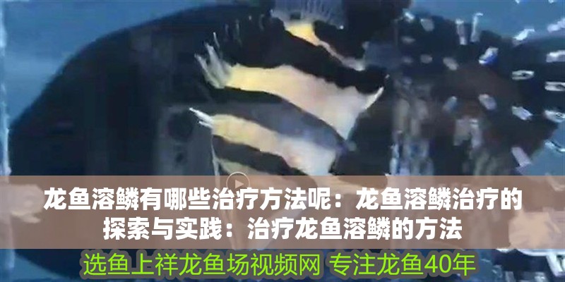 龍魚溶鱗有哪些治療方法呢：龍魚溶鱗治療的探索與實(shí)踐：治療龍魚溶鱗的方法