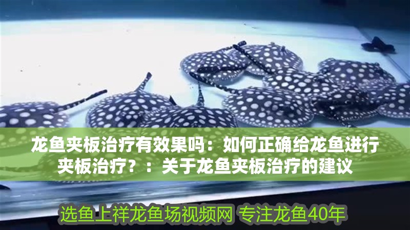 龍魚夾板治療有效果嗎：如何正確給龍魚進行夾板治療？：關于龍魚夾板治療的建議
