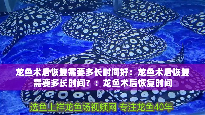 龍魚術后恢復需要多長時間好：龍魚術后恢復需要多長時間？：龍魚術后恢復時間