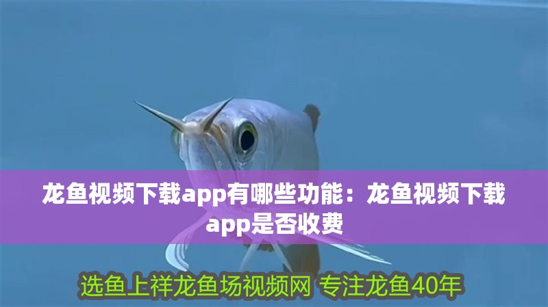 龍魚視頻下載app有哪些功能：龍魚視頻下載app是否收費