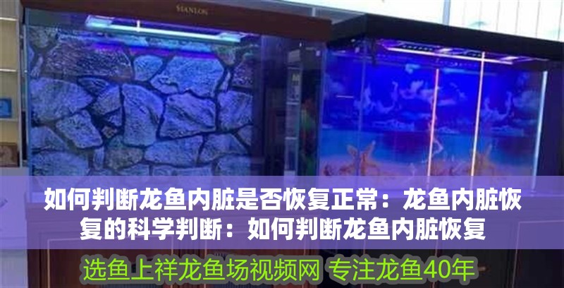 如何判斷龍魚內臟是否恢復正常：龍魚內臟恢復的科學判斷：如何判斷龍魚內臟恢復