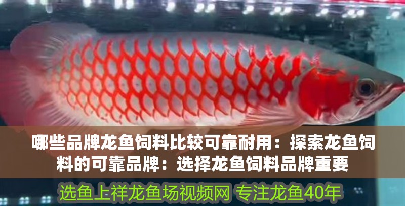 哪些品牌龍魚飼料比較可靠耐用：探索龍魚飼料的可靠品牌：選擇龍魚飼料品牌重要